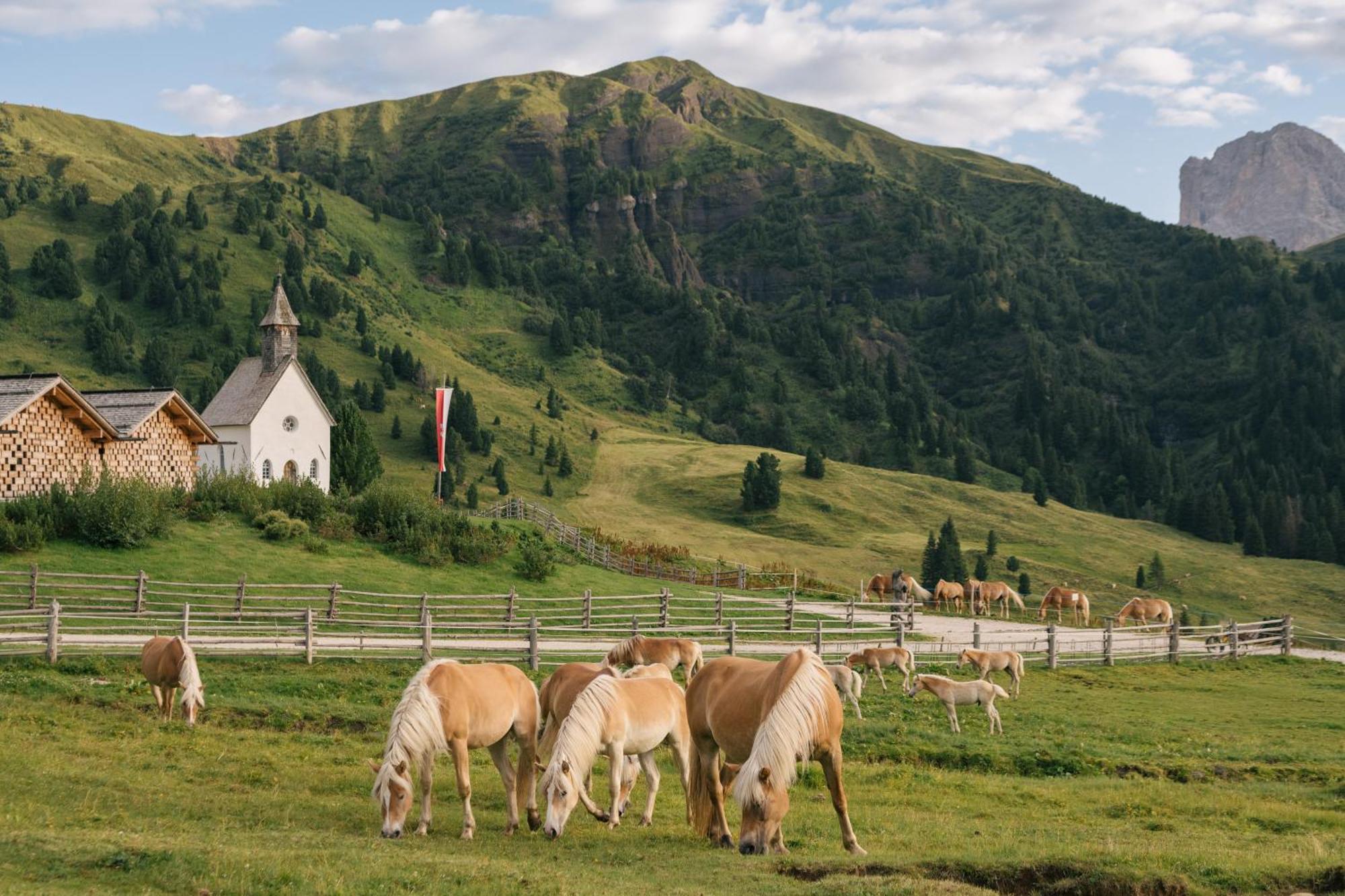 Zallinger Dolomites Alpe Di Siusi Exterior foto